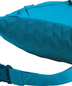 The North Face Lumbnical Waist Pack Women's Apparel