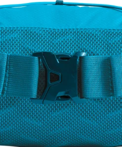 The North Face Lumbnical Waist Pack Women's Apparel